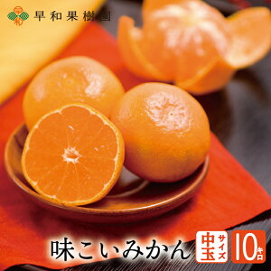 Lc݂ Ε ݂ 10kg  a̎R Yn aʎ