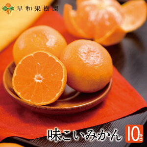 Lc݂ Ε ݂ 10kg  a̎R Yn aʎ