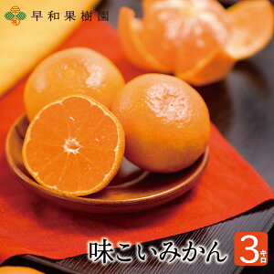 Lc݂ Ε ݂ 3kg  a̎R Yn aʎ