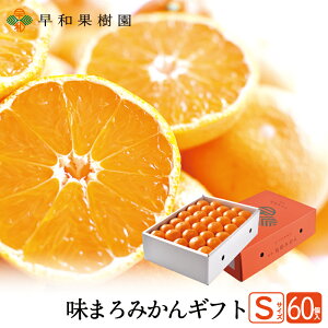 ݂ Ε Lc݂ ܂݂ STCY 60艻ϔ a̎R B݂ Yn aʎ