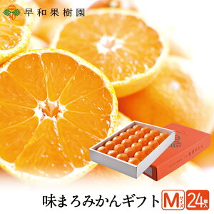 ݂ Ε Lc݂ ܂݂ MTCY 24艻ϔ a̎R B݂ Yn aʎ