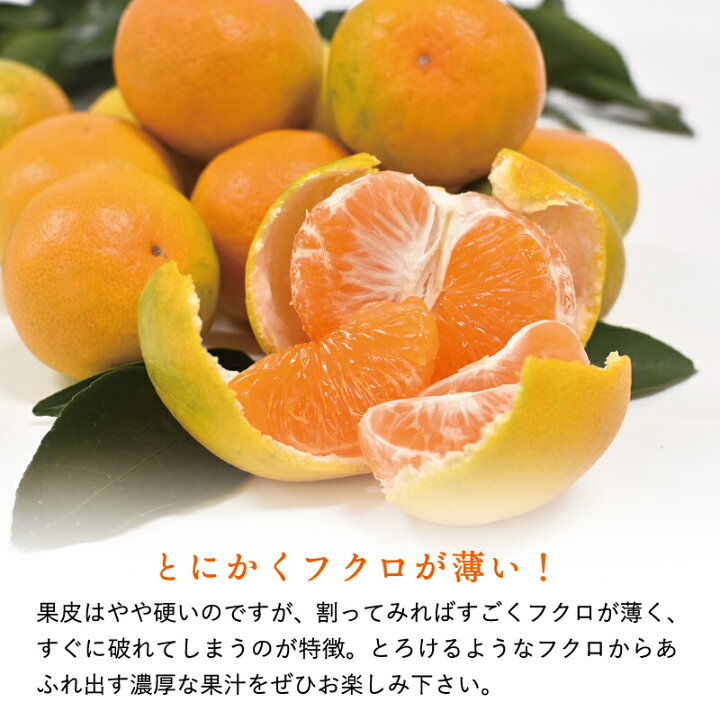 楽天市場】ゆら早生みかん ミニサイズ 5kg 送料無料 極早生 有田みかん 温州みかん 産地直送 和歌山県 : 紀州 有田みかん 早和果樹園 楽天市場】ゆら早生みかん ミニサイズ 5kg 送料無料 極早生 有田みかん 温州みかん 産地直送 和歌山県 : 紀州 有田みかん 早和果樹園