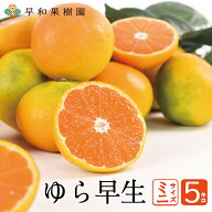 ゆら早生みかん ミニサイズ 5kg 送料無料 小玉 箱 国産 予約 極早生 有田みかん 温州みかん 産地直送 和…