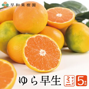 瑁݂ ~jTCY 5kg  ɑ Lc݂ B݂ Yn a̎R