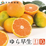 ゆら早生みかん ミニサイズ 10kg 送料無料 小玉 箱 国産 予約 極早生 有田みかん 温州みかん 産地直送 和…