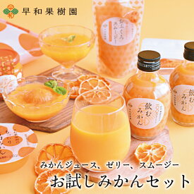 新お試しみかんセット 有田みかん ジュース ゼリー スムージー 飲むみかん ミラクル9 送料無料 早和果樹園