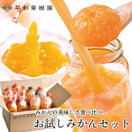 みかん ジュース ゼリー スイーツ お試しみかんセット N 人気 詰め合わせ 4種類8品 トライアル みかんジ…