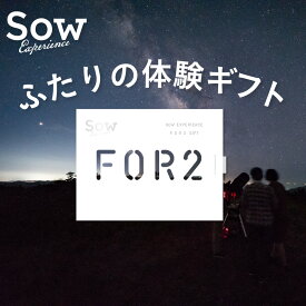 体験ギフト 『FOR2ギフト（SILVER）』 体験型ギフト 結婚祝い 結婚記念日 クリスマス 誕生日 プレゼント カタログギフト 敬老の日 両親 夫婦 新婚 退職祝い 贈り物 内祝い お返し【ソウエクスペリエンス】【あす楽 送料無料】