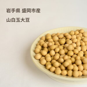 yp哤zY哤1kg SOYMIL5ނIׂ鍑Y哤 \C~   [J[ M S   |^[W ƒp X[v v[g  N Ɛ 哤 