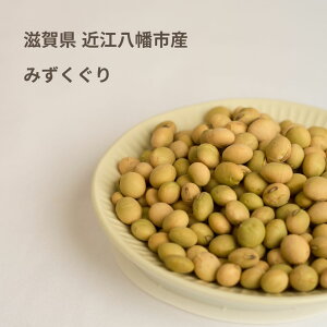 Ԍ̔y\C~zY哤1kg SOYMIL5ނIׂ鍑Y哤 \C~  Y [J[ M S  X[v[J[ |^[W ƒp X[v v[