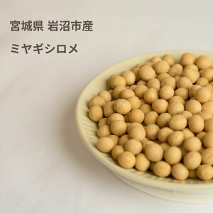 yp哤zY哤1kg SOYMIL5ނIׂ鍑Y哤 \C~   [J[ M S   |^[W ƒp X[v v[g  N Ɛ 哤 