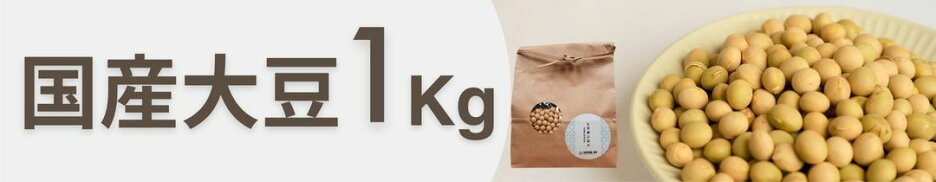 ソイミル 豆乳メーカー 大豆  豆乳 クーポン 国産大豆