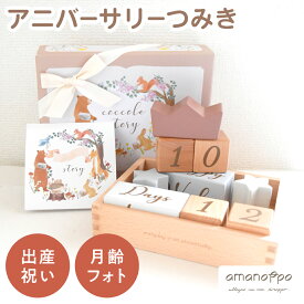 【本日！最大100％Pバック！】 amanoppo あまのっぽ アニバーサリーつみき coccole story 積み木 木のおもちゃ ブロック 月齢フォト マタニティフォト アニバーサリー 知育玩具 木製 カレンダー 誕生日 記念 写真 出産祝い プレゼント 男の子 女の子 ギフト