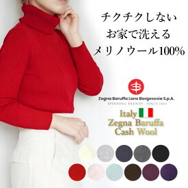 【￥17,600→在庫処分SALE max54%off】 セーター レディース 冬 春 秋冬 メリノウール タートルネック リブ ニット ウール100％ きれいめ タートル インナー 長袖 とっくり 暖かい 洗える 毛玉になりにくい チクチクしない トップス プルオーバー ネイビー 赤 40代 50代 60代