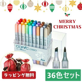 コピックペン コピックチャオ 36色 チャオセット36色 コピック コピックチャオ チャオ セット スタート ケース付 【ラッピング無料】 チャオセット チャオ36色 ペン インク スタートセット カラーペン マーカーペン ブラシニブ ブロードニブ インク補充可能 ニブ交換可能