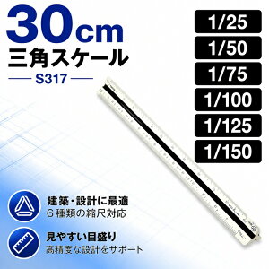 takeda �O�p�X�P�[�� �G���[�g 30cm�yS317�z1/25 1/50 1/75 1/100 1/125 1/150 ABS������ �\�t�g�P�[�X�t�� JIS�K�i�Ή��@( �T���X�P ���񂷂� �X�P�[�� ��K �O�p JIS ���� �k�� �j���[�^�C�v ���} ���}�p�i 