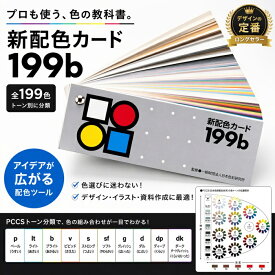 199b 新配色カード 50534 新配色 色彩検定 PCCS カラーカード 色票 印刷色票 色見本 色彩学 トーン別 色系統 配色カード 配色トレーニング 日本色研 マンセル基準 インデックス付き 紙ケース付き ビスどめ 高品質 マット調 5mmドット方眼 解説付き カラーチャート 配色プラン