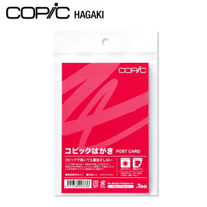 COPIC RsbN ͂ 20 11610001 RsbN ͂ h~ AR[}[J[ p N CXgp }[J[p Gep CNWFbgΉ [U[v^Ή ㎿