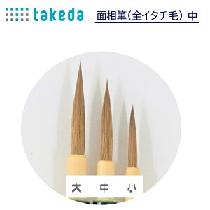 takeda ^P_ ʑM SC^` yz y1{z S22cm { Made in Japan ( M ӂ tf G ` `₷ Ȃ   { G莆 ʌo ̎Ή\ DIY