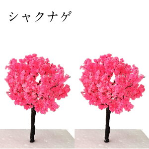 takeda WI} ͌^  C[ 6cm 2( X R   i \     t }  ͌^  WI} ~j`A ` S͌^    ̎Ή\ DIY