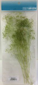 ݑ JX~\E S takeda ^P_ O[ GWFO[ sN N[ zCg hCt[  hCt[ WI}f ͌^f S͌^ NQ[W tBMA V