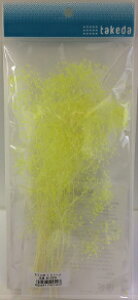 ݑ JX~\E S takeda ^P_ O[ GWFO[ sN N[ zCg hCt[  hCt[ WI}f ͌^f S͌^ NQ[W tBMA V