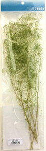 かすみ草 小束 グリーン エンジェルグリーン ホワイト takeda タケダ ドライフラワー ジオラマ素材 模型素材 鉄道模型 Nゲージ フィギュア装飾 天然素材 ジオラマ樹木 ジオラマ植物 着色かす
