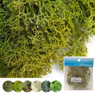 ジオラマ 草 植物 山 タケダ ジオラマモス takeda 模型 建築模型 材料 ジオラマ 立体パース 工作 鉄道模…