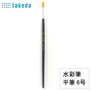 takeda ʕM ԃiC M 6 1{ ʕM M iCM ԃiC ANGpM ʉM GpM GM { ϋvM e͐M SҌM wZp ppM A