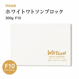 muse ミューズ ホワイトワトソンブロック 300g F10（540×465）ホワイトワトソンブロック 水彩 パステル 色鉛筆 ホワイト色のワトソン紙 超特厚口 四方天糊固め ブロック状で波打ちに強い 描き終えたら1枚毎に剥がしていく仕様 白色 着彩と同時にコントラスト