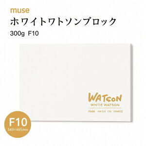 muse �~���[�Y �z���C�g���g�\���u���b�N 300g F10�i540×465�j�z���C�g���g�\���u���b�N ���� �p�X�e�� �F���M �z���C�g�F�̃��g�\���� �������� �l���V�Ќł� �u���b�N��Ŕg�ł��ɋ��� �`���I