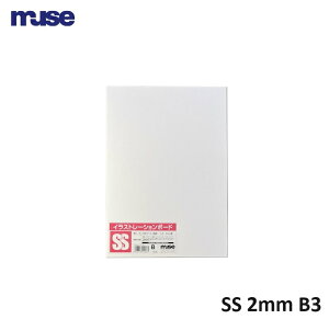 KMK Pg{[h SS 2mm B3 1 MUSE ~[Y Pg KMKPg {[h