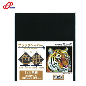 色紙 ブラックペーパー SDB-BK-M 1/4 1/4色紙 ブラック 黒色紙 色紙 小サイズ色紙 カラーボールペン 色鉛筆 アクリル絵具 イラスト用色紙 手描き用 素材紙 白系画材 パール光沢 描きやすい画材