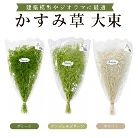 かすみ草 大束 グリーン エンジェルグリーン ホワイト takeda タケダ カスミソウ かすみ カスミ草 ドライフラワー ミニチュア素材 フィギュア装飾 天然素材 ジオラマ樹木 ジオラマ植物 着色かすみ草 ハンドクラフト 手芸 フラワー 建築模型 Nゲージ 鉄道模型