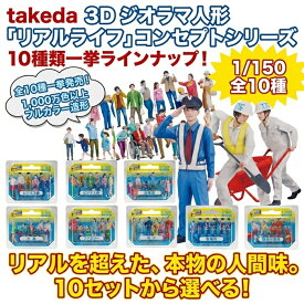takeda タケダ 3D ジオラマ人形 フルカラー 1/150 6体入り コンセプトシリーズ 10種類【 ビジネス 幼稚園 小学生 介護 ファミリー 花火 警備員 現場作業 】3Dプリント フルカラー人物フィギュア 鉄道模型 人形 高精細リアル人形