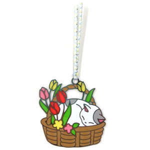  Lƃ`[bv oR y[W}[J[ 48866 XehOX ubN}[J[ vanco