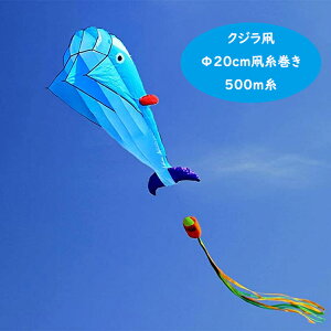 20cm g JCg NW  AEghA q ̂  l ʔ Zbg NW^R