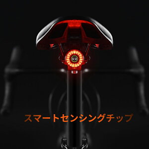 e[Cg ]ԗp X}[gu[Lx  ACgPx ȒPt _ UEZT[ IPX65h usb[d ԑs ʗp