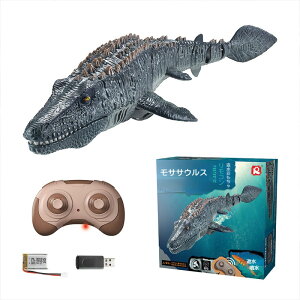  WR TTEX WR TTEX R    RC WR  d USB[d Rg[{bg h݌v C v[  j̎q q