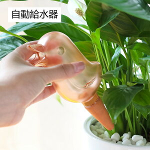     A  O s X^CbV h{ k CeA G fUCi[Y i`  s 璆 U@ u  ƒ؉ 璷 