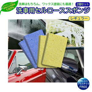 ԗpX|W iM[TCYj2g SDGs TXeBiu vX`bNt[    