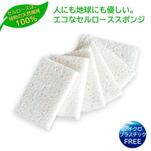 Z[XH􂢃X|W 6pbN X|W H SDGs TXeBiu vX`bNt[ Lb`̗I Rbv M q  