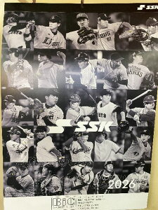 SSK�@�G�X�G�X�P�CSSK�x�[�X�{�[���J�����_�[2026�N�J�����_�[