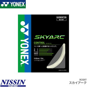 lbNX oh~g XJCA[N SKYARC BGSKY XgO Kbg Q[WF0.69mm  Rg[