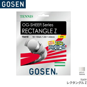 �S�[�Z�� GOSEN ���N�^���O��Z RECTANGLE Z TS419 �e�j�X �K�b�g �X�g�����O �Q�[�W�F16�`15GA. �����F12.2m(40FT.)