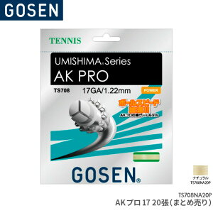 S[Z GOSEN AKv17i` 20(܂Ƃߔ) AK PRO 17×20 TS708NA20P ejX Kbg XgO Q[WF1.22mm F12.2m(40FT.)×20