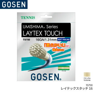 S[Z GOSEN CebNX^b`16 LAYTEX TOUCH 16 TS750 ejX Kbg XgO Q[WF1.31mm(16GA.) F12.2m(40FT.)