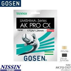 S[Z GOSEN AKvCX17 AK PRO CX 17 TS761 ejX Kbg XgO Q[WF1.24mm(17GA.) F12.2m(40FT.)