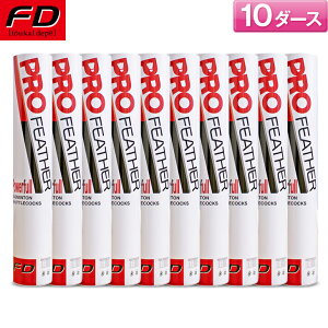 FDoh~g oh~gVg vtFU[ pt / 10_[X PF-6510 K oh~g VgRbN ACxbNX|[c