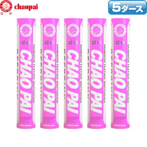 `IpC oh~gVg fB[vsN / 5_[X CP-1513 K oh~g VgRbN chaopai v